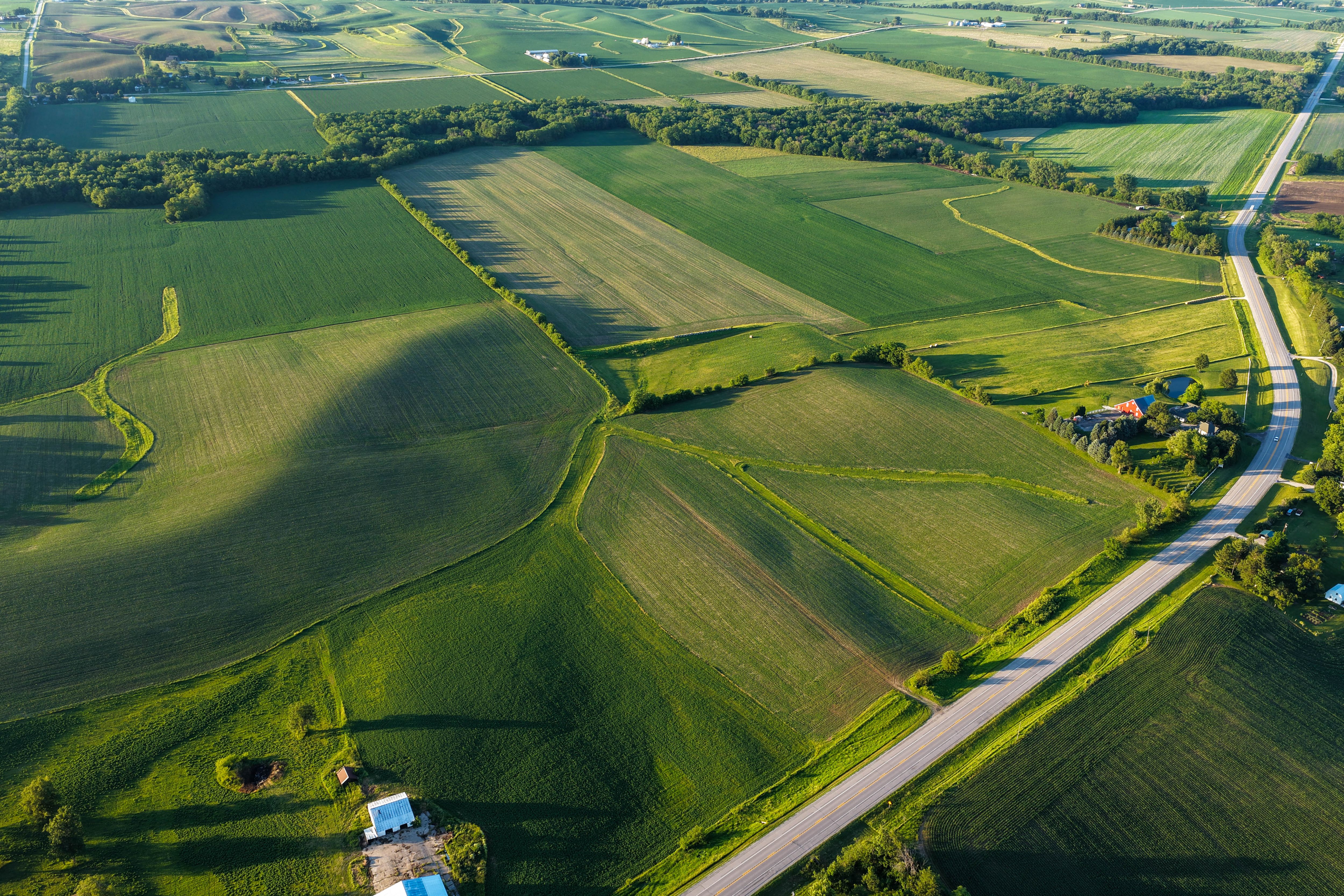 Listing Photo: Hard Surface road plus 40 acre Building Site Johnson County Iowa-41
